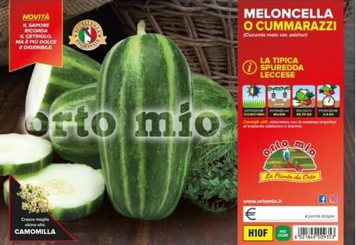 Kumare Meloncella, 4 kos