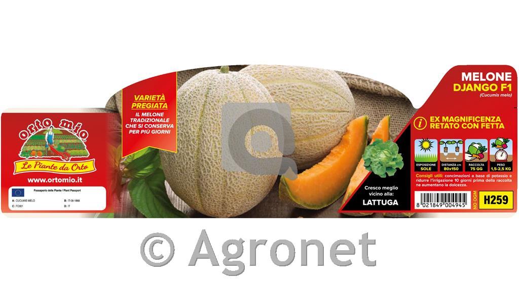 Melona rebrasta Django (Magnificenza) F1, 4 kos