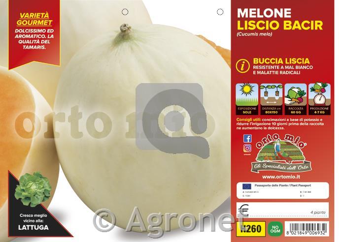 Melona gladka Bacir F1, 4 kos