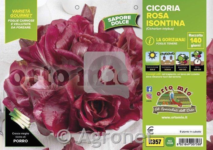 Radiči Rosa Isontina, 9 kos