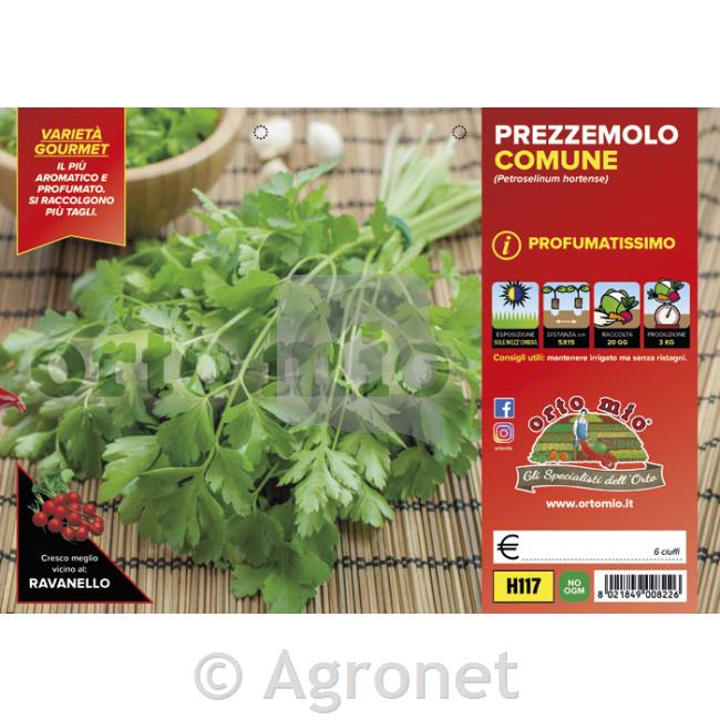 Peteršilj listni aromatični Comune, 6 kos