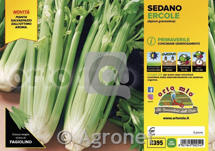 Zelena Ercole F1, 6 kos