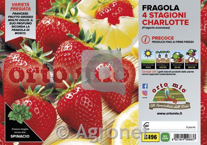 Jagode Charlotte, 4 kos
