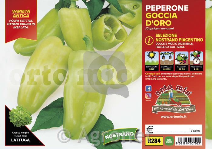 Paprika dolga babura Nostrano Piacentino, 6 kos