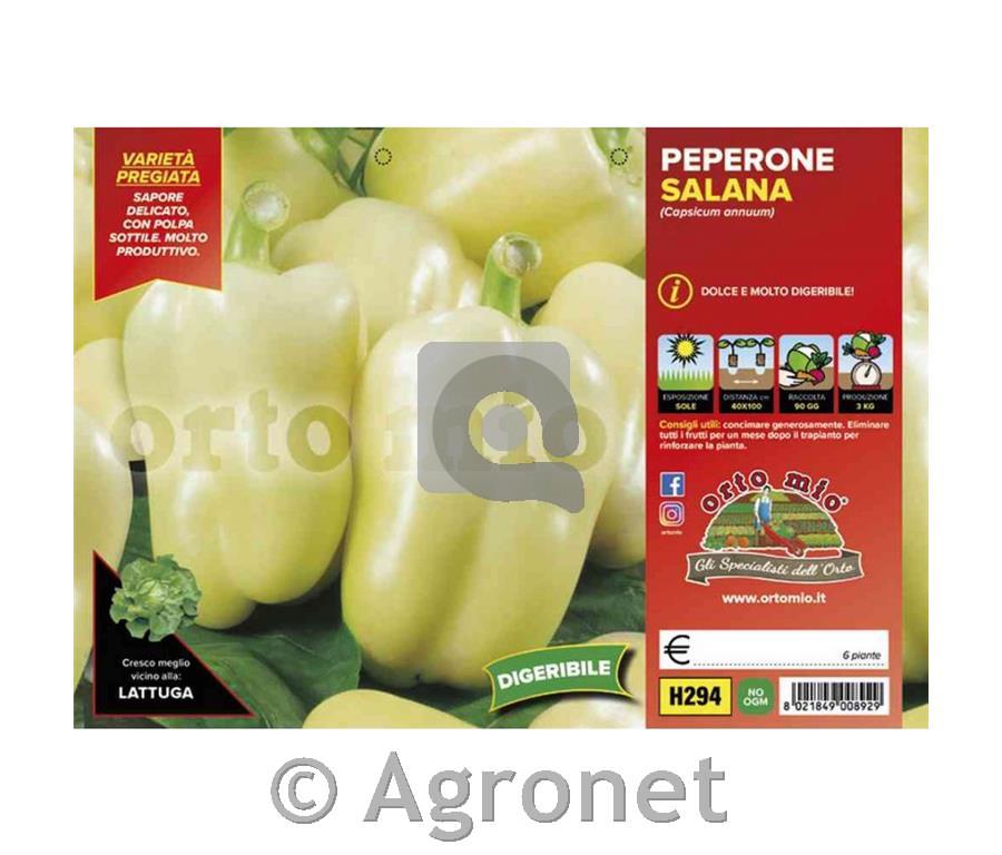 Paprika rumena babura Laguna/Salana F1, 6 kos