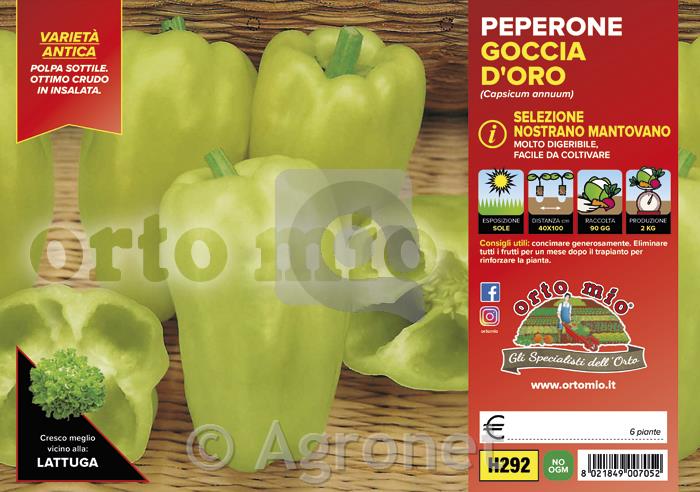 Paprika svetlozelena babura Nostrano Mantovano, 6 kos