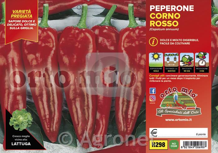 Paprika rog rdeča Alceste F1, 6 kos