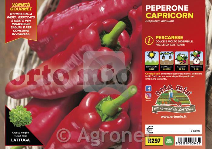 Paprika rog rdeča Capricorn F1, 6 kos