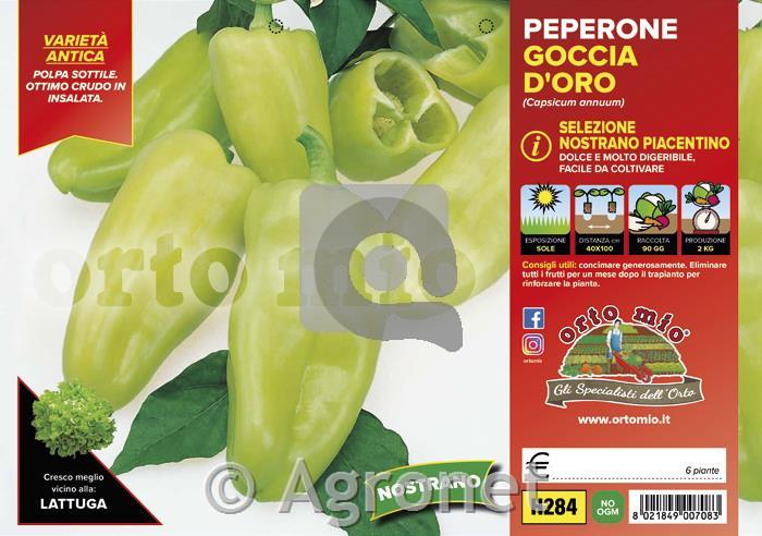 Paprika Nostrano piacentino, 6 kos
