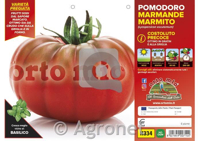 Paradižnik marmande Marmyto F1, 6 kos