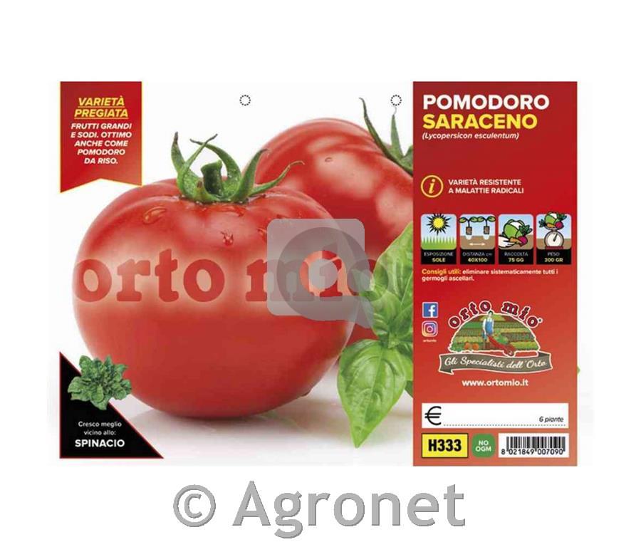 Paradižnik okrogli solatni Saraceno F1, 6 kos