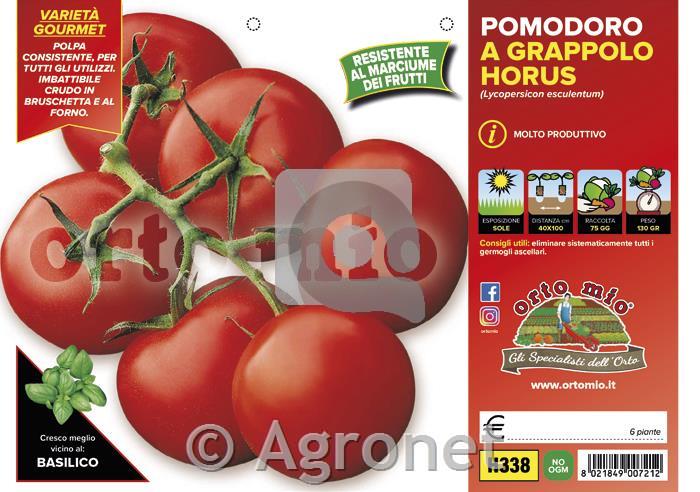 Paradižnik okrogli grappolo Horus F1, 6 kos