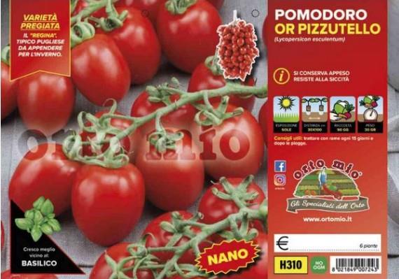 Paradižnik nizki češnjevec Pizzutello, 6 kos