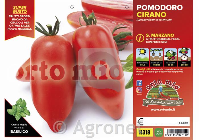 Paradižnik S. Marzano Cirano F1, 6 kos