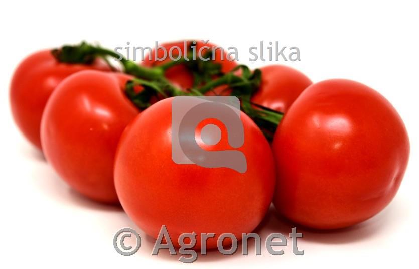 Paradižnik progasto volovsko srce Gourmansun F1, 1kos