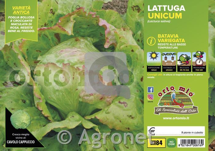 Solata glavnata Unicum, 9 kos