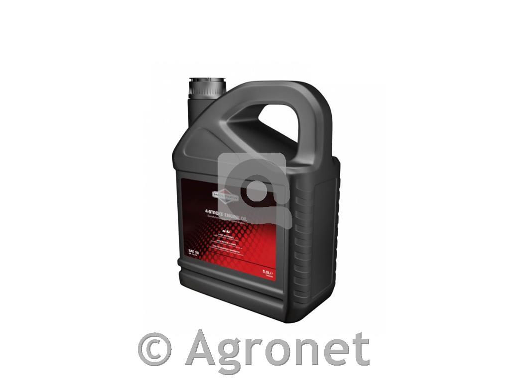 Motorno olje Briggs&Stratton SAE 30 (5 l)