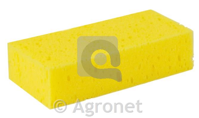 Goba za nego konja