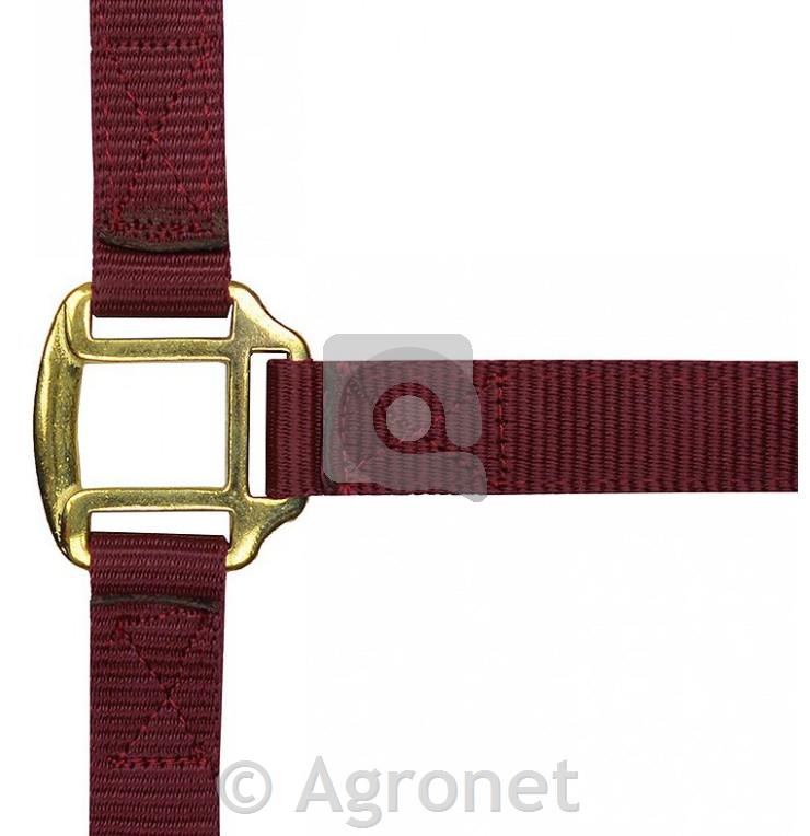 Podložena uzda Norton leather bordo XL
