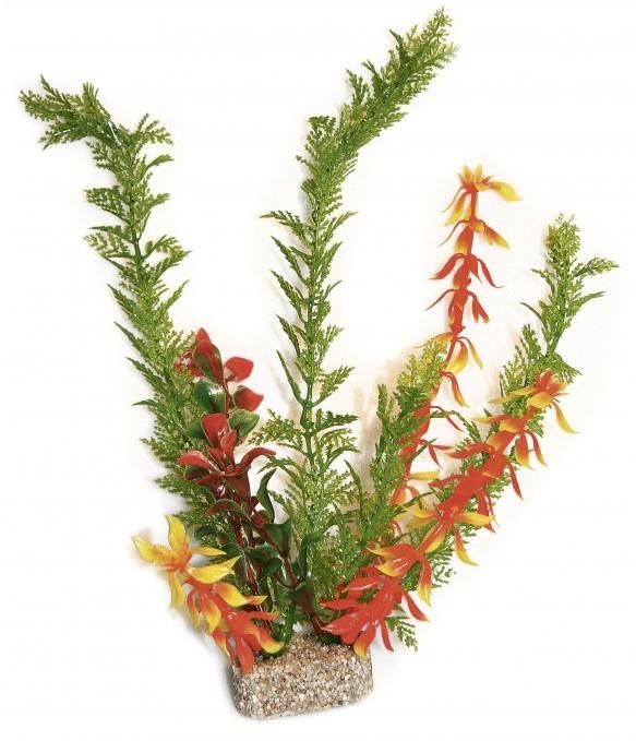 Dekoracijska rastlina 30 cm
