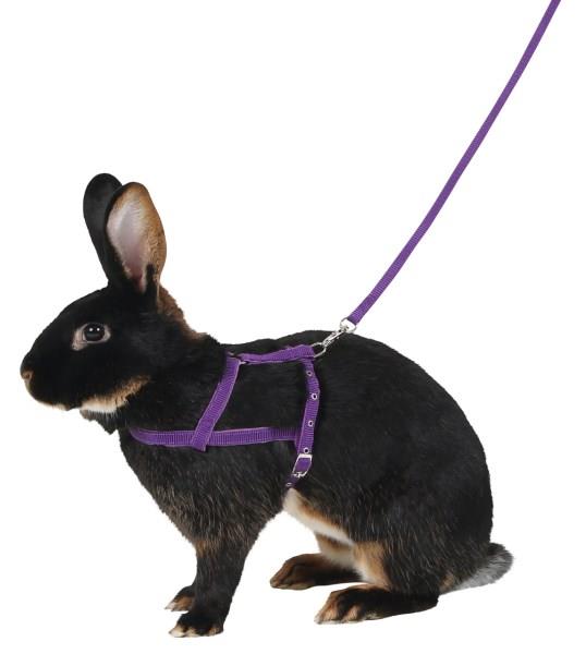 Oprsnica Agility vijolična, 21 cm - 35 cm, 2 m