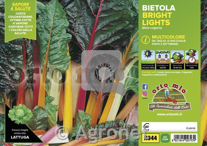 Blitva Bright Light, 6 kos