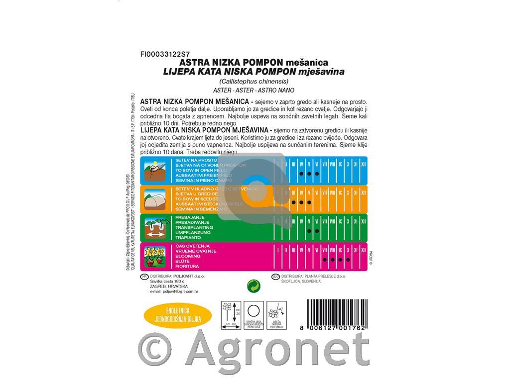 Astra Pompon (Callistephus chinensis), 1,5 g