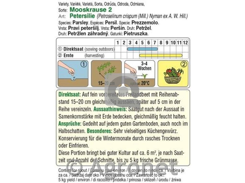Kodrolistni peteršilj Moskrul 2