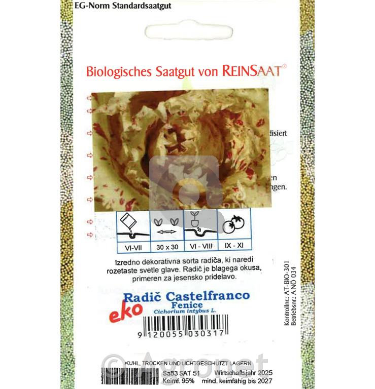 Radič Castelfranco Fenice TT