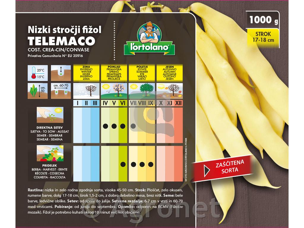 Fižol nizki Telemaco 1kg