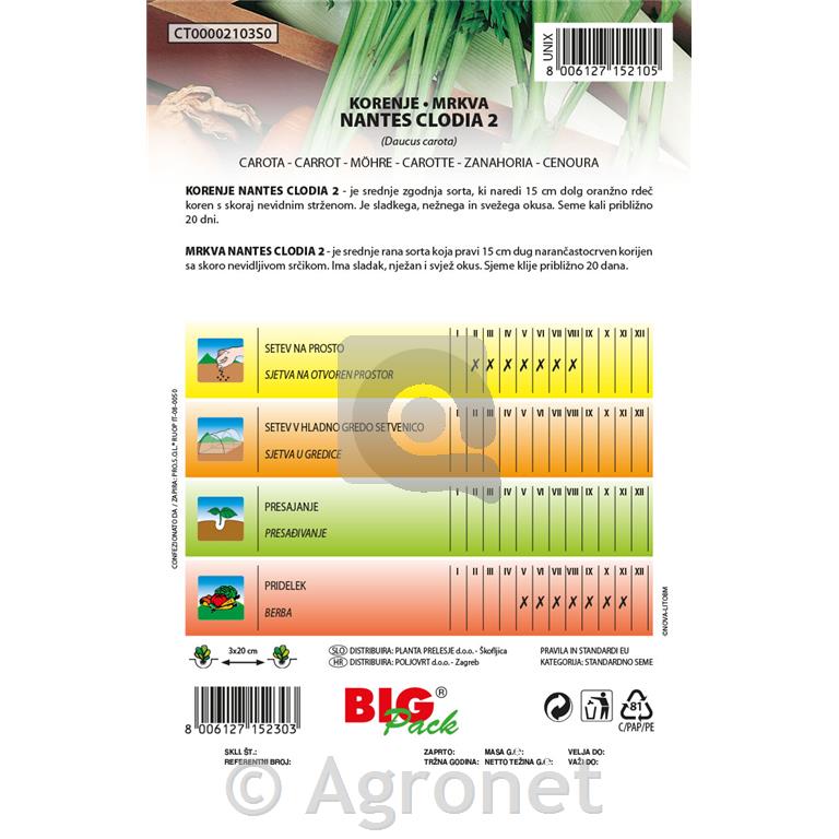 Korenje Nantes-Clodia 2, 20g