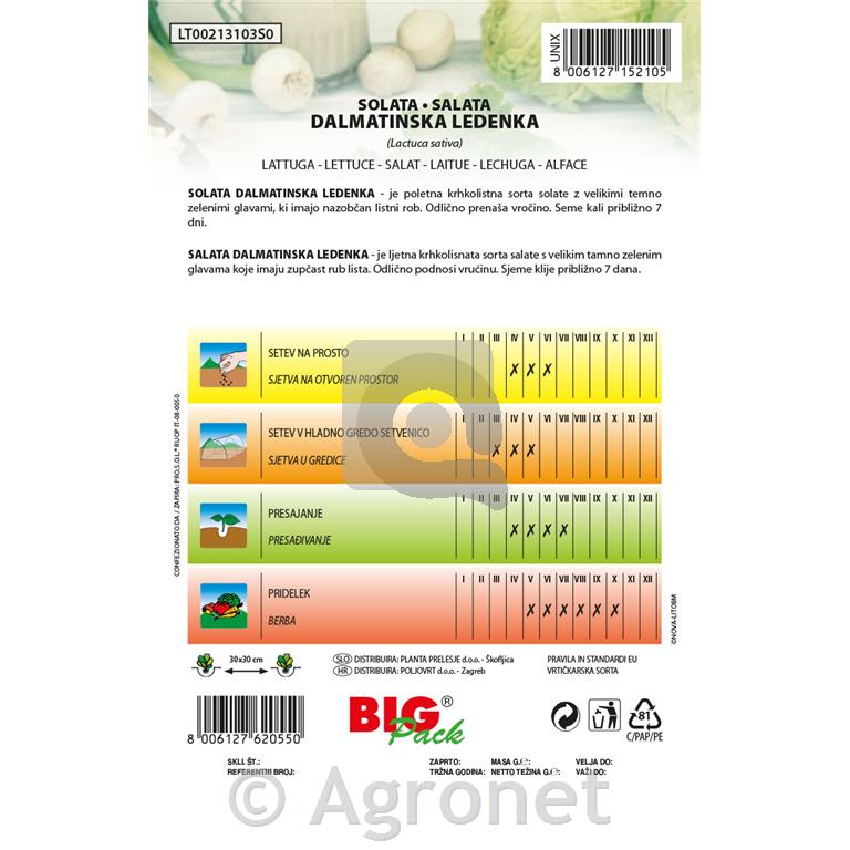 Solata Dalmatinska ledenka 15g