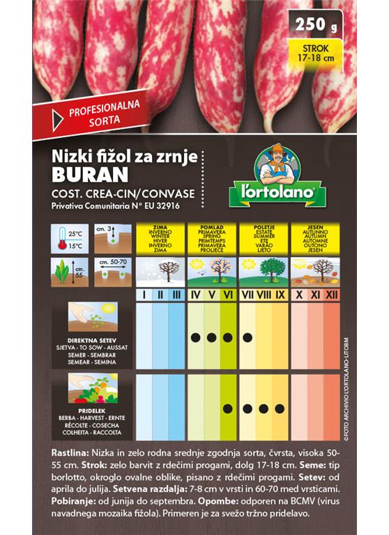 Nizki fižol za zrnje Buran 250g