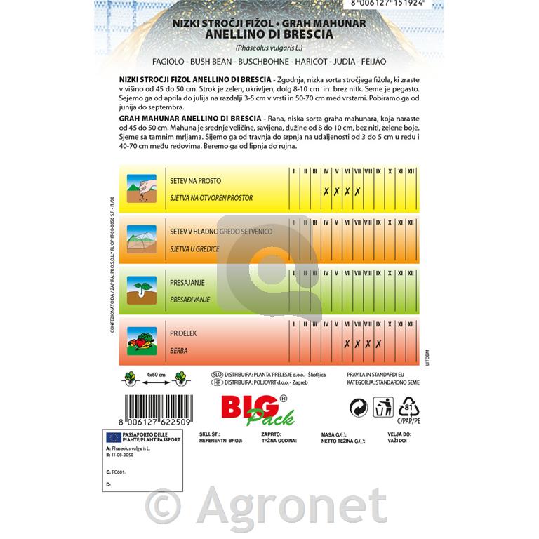 Fižol nizki Anellino di Brescia 70g