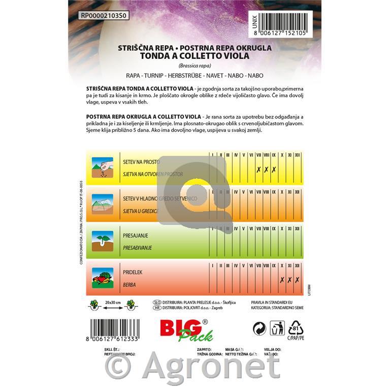 Strniščna repa Tondo 20g