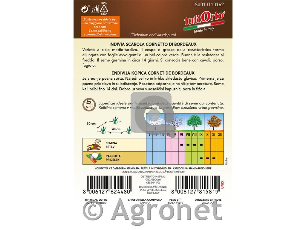 Endivija Kopica Cornet de Boreaux, 2g