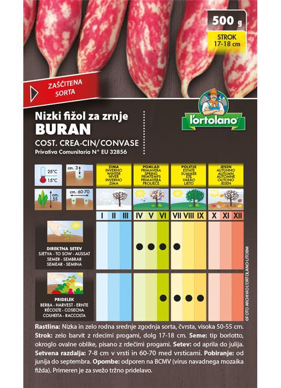 Nizki fižol za zrnje Buran 500g
