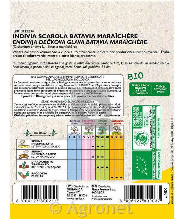 Endivija Dečkova glava EKO 9 g