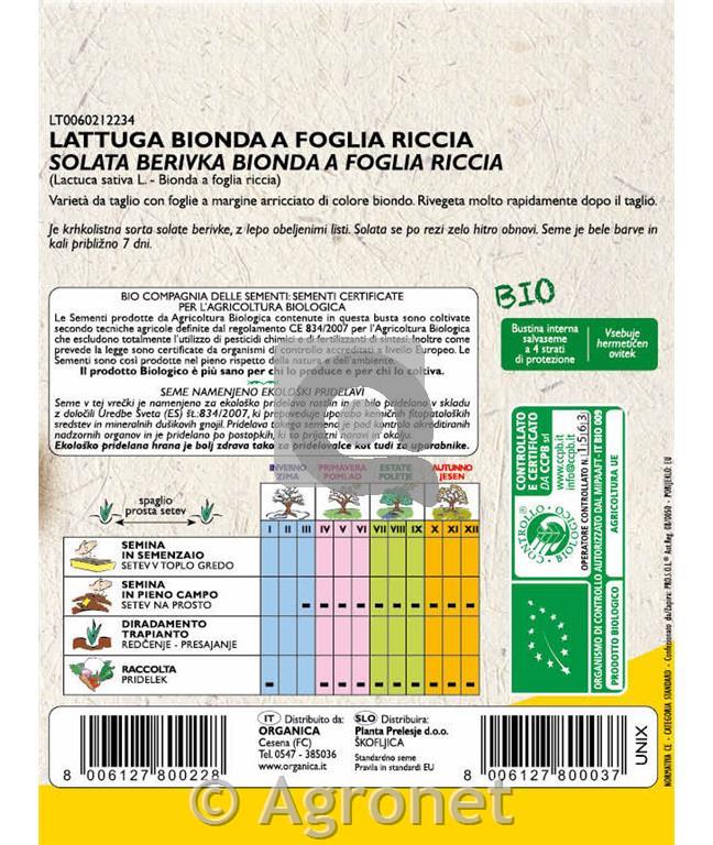 Solata Bionda a foglia riccia EKO 7 g