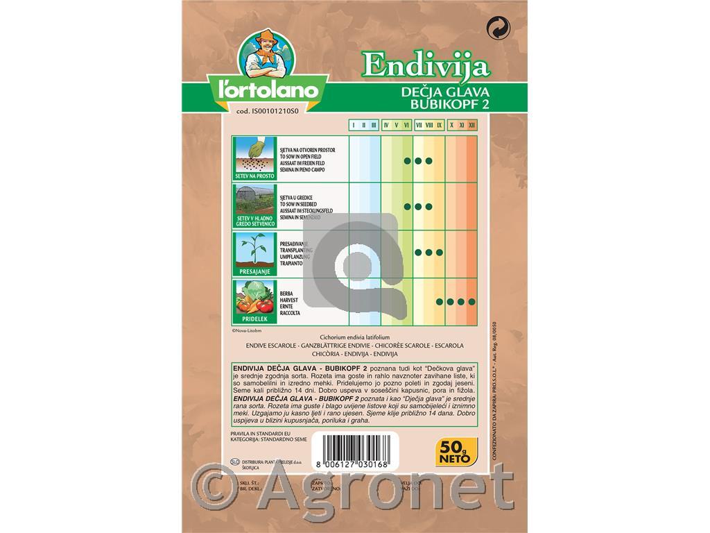 Endivija Dečkova glava 50 g