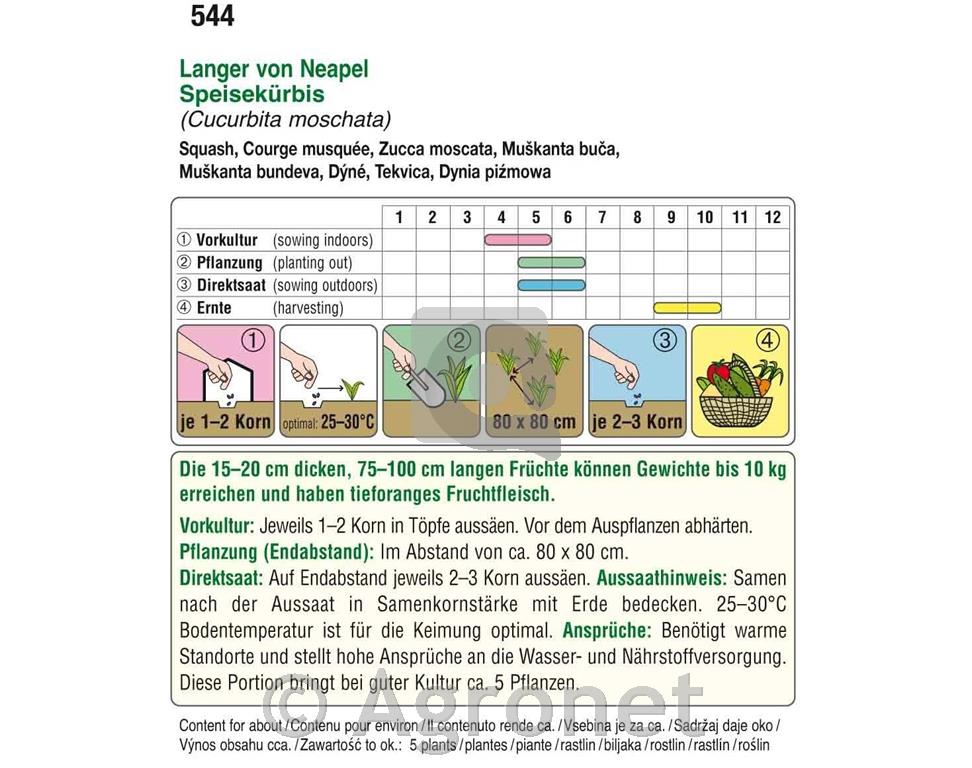Jedilne buče Langer von Neapel 5g