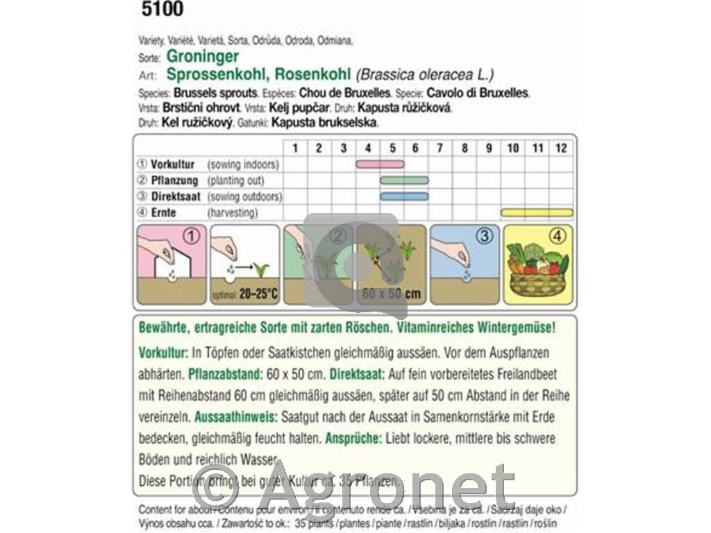 Bio brstični ohrovt "Groninger"