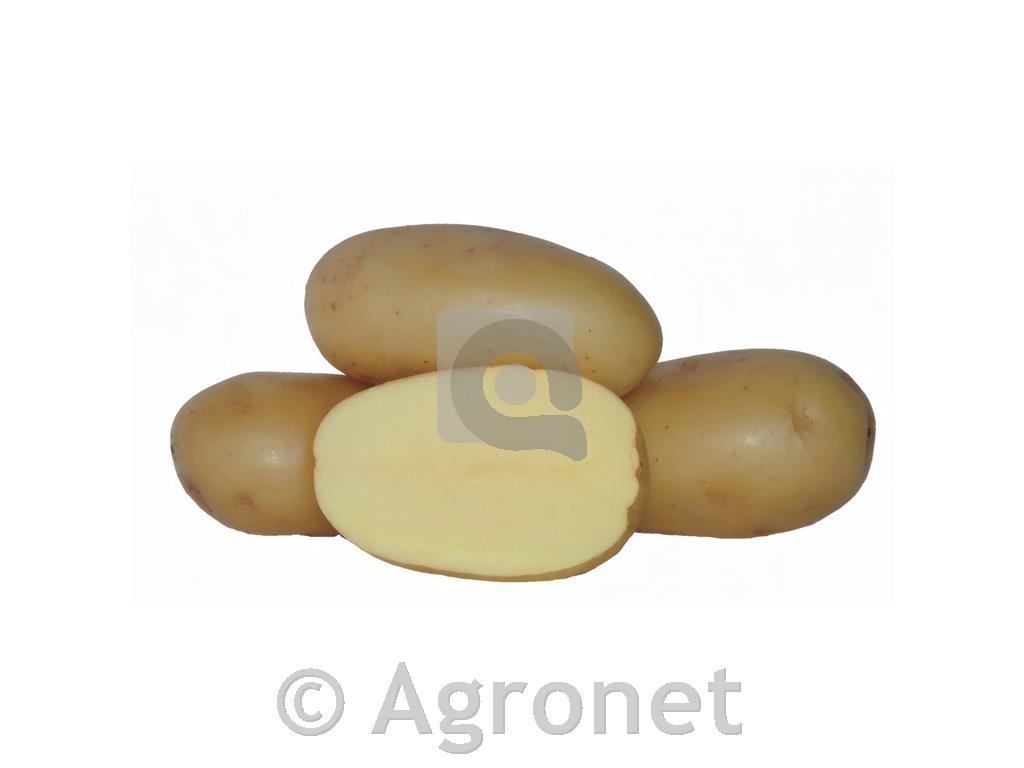 Krompir Agata zgodnji 3 kg