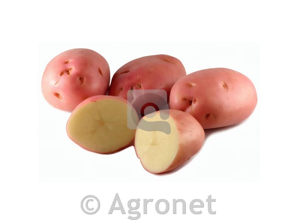 Krompir Desiree E 28/35 25 kg