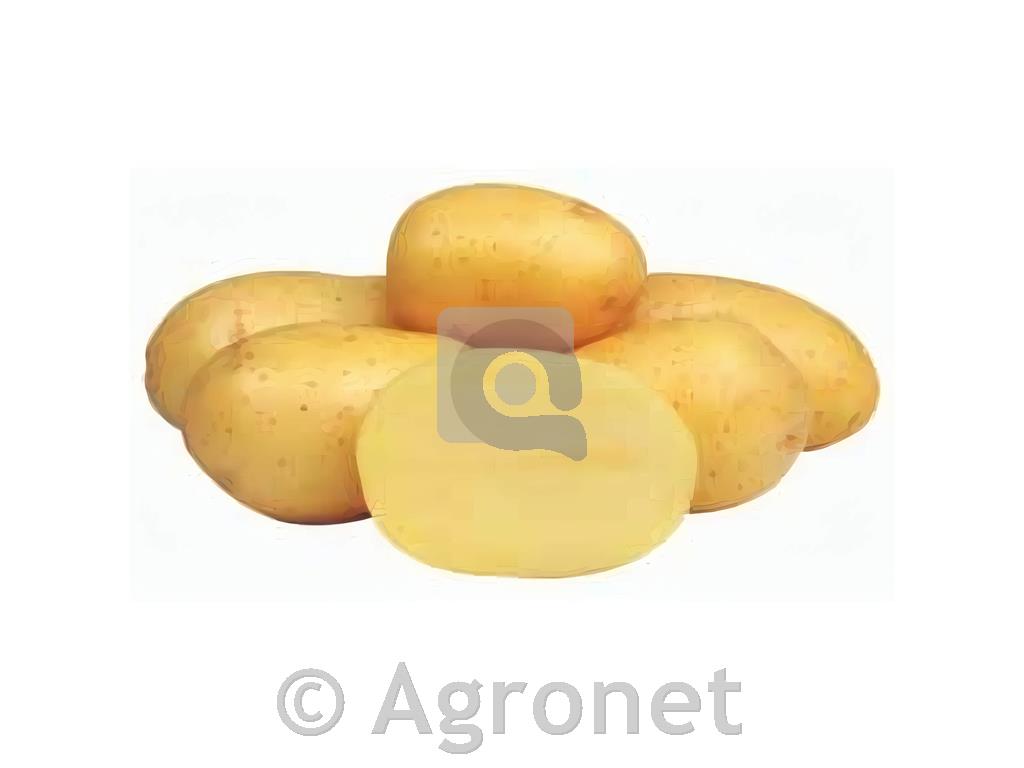 Krompir sorta Marabel A 28/35 25 kg