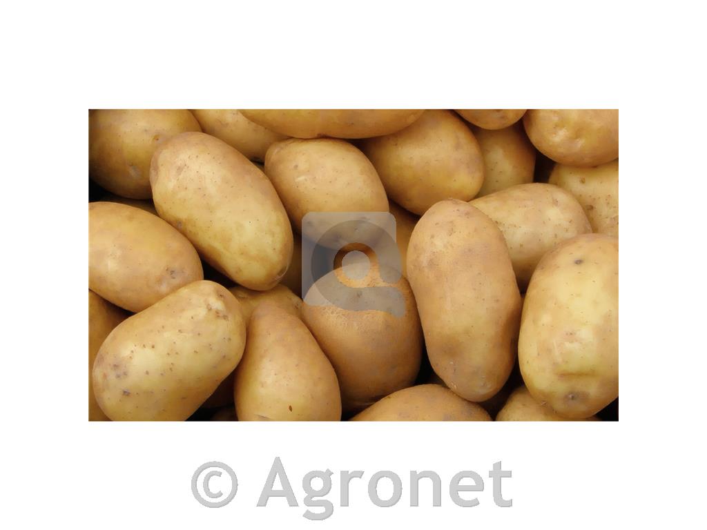 Krompir sorta Marabel A 28/35 25 kg