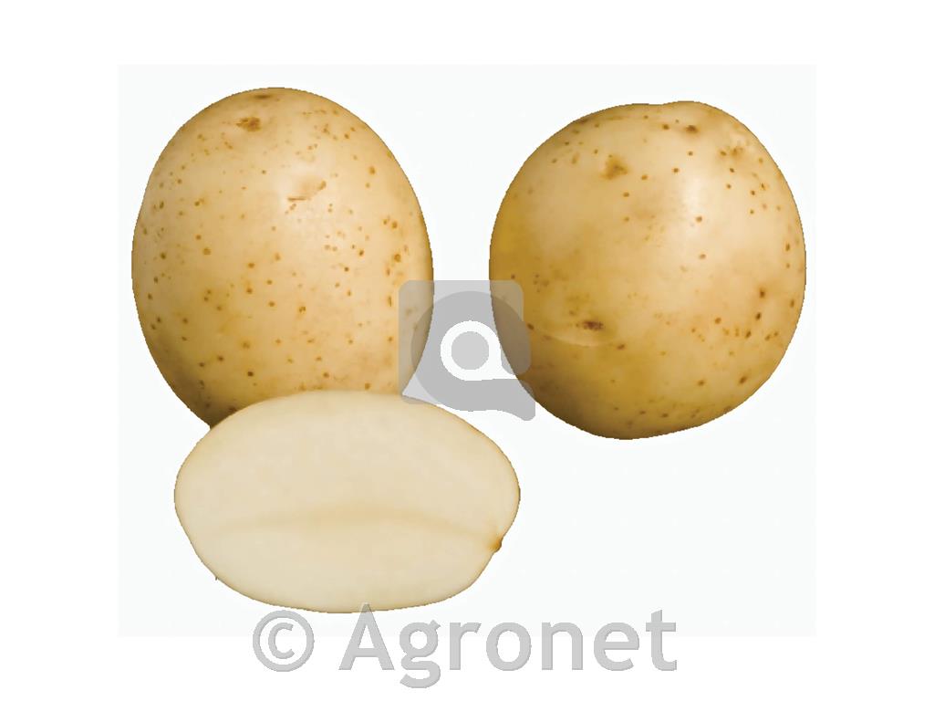 Krompir Ranomi A 28/35 25kg