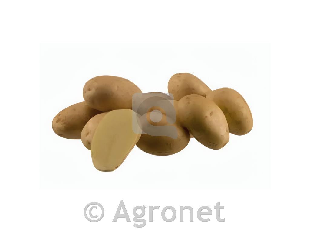 Krompir Ditta eko A 28/35 3 kg