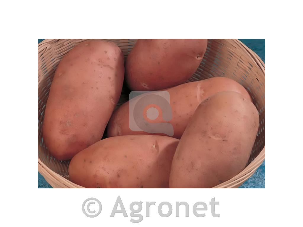 Krompir Desiree A 35/55 10 kg