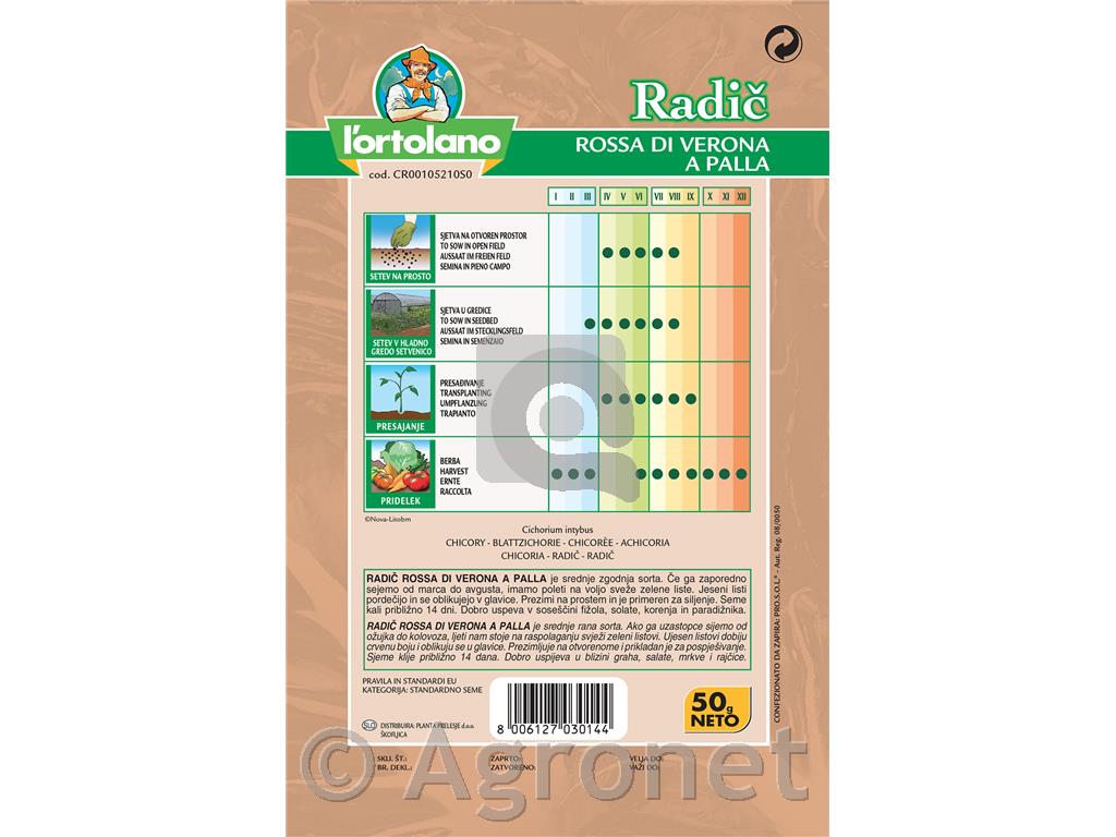 Radič Palla Rossa 3 50 g